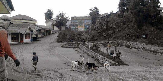 Menengok kawasan wisata Gunung Bromo terus dihujani abu vulkanik