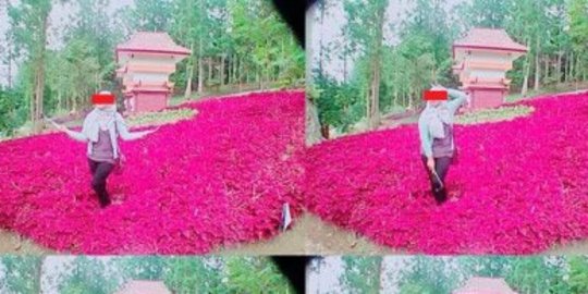 Selfie ABG di Baturraden, papan larangan injak bunga malah dirusak