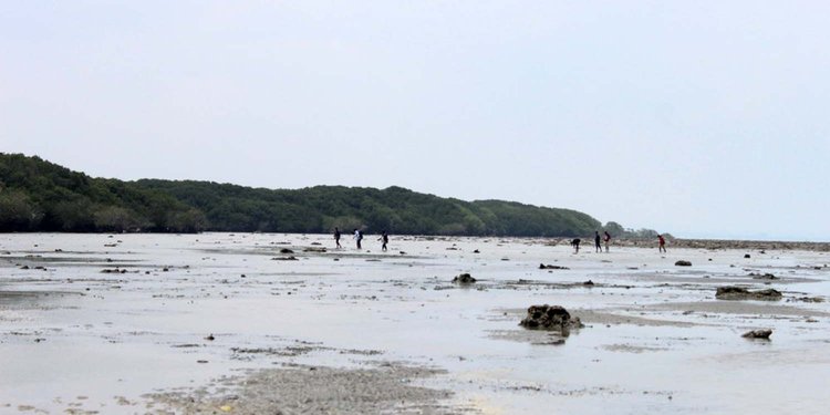 Masih Perawan Pantai Kutang Lamongan Minim Fasilitas