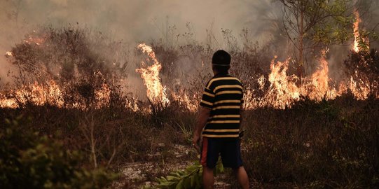 Kebakaran hutan, dari polemik pergub hingga Jokowi gagal mendarat