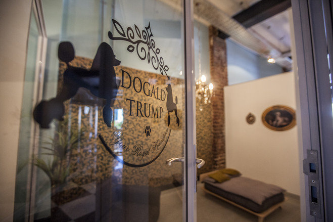 hotel mewah anjing cape town