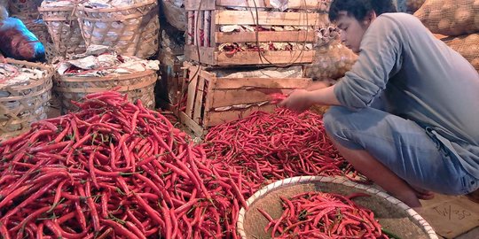 Indeks harga grosir naik disumbang cabai dan bahan bangunan