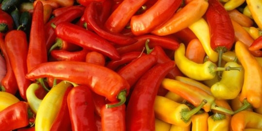 waspada, ini 7 makanan yang membuat kencing bau pesing