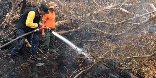 PN Palembang akui kekurangan hakim yang paham bidang lingkungan