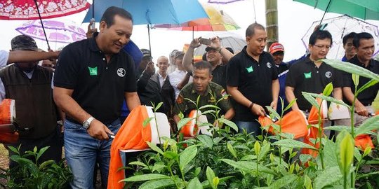 RNI resmikan pabrik teh hijau terbesar di Asia Tenggara