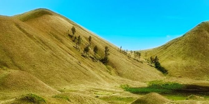 Kawah Wurung, negeri para Hobbit di balik pegunungan Ijen 