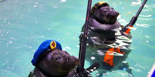 dipakai rusia jaga kapal selam nuklir