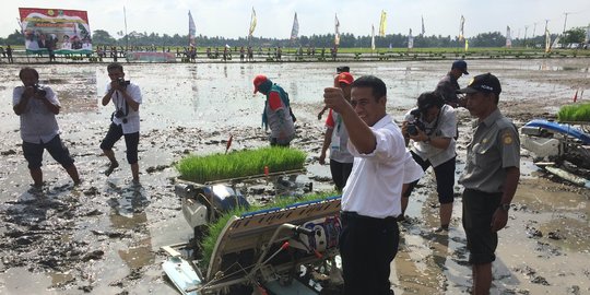 2015, Menteri Amran klaim petani RI raup pendapatan Rp 90 triliun