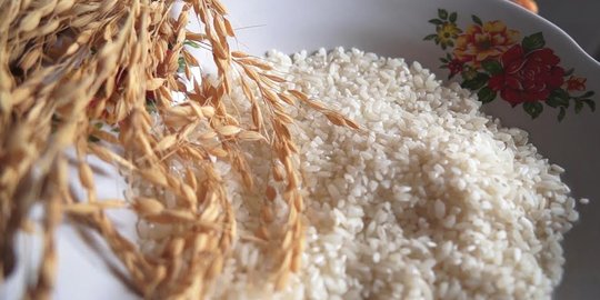 2016, Menteri Amran target swasembada beras