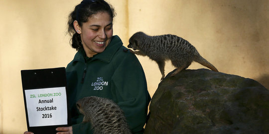 Tingkah usil satwa di Kebun Binatang London saat pemeriksaan tahunan