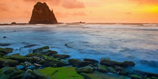 jember rev1