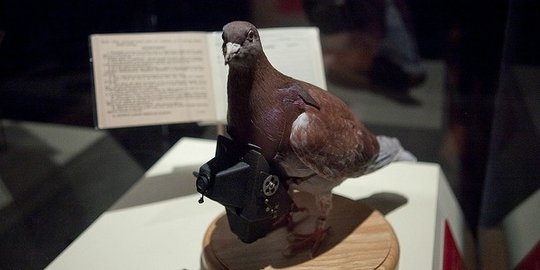 bertugas di perang dunia kedua rev1