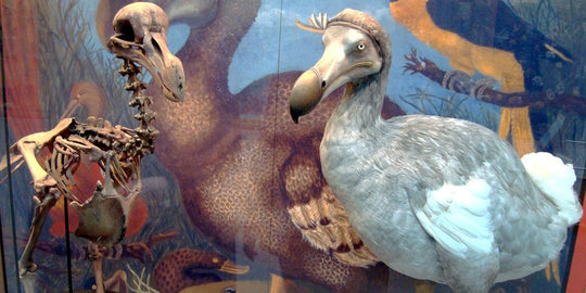 5 hewan paling berpengaruh sepanjang sejarah