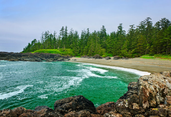 pacific rim national park reserve