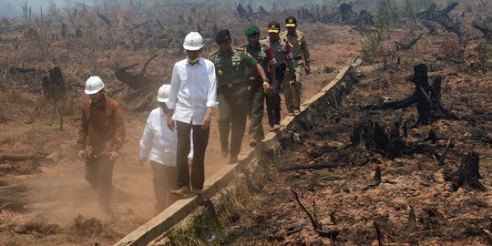 Jokowi minta semua pihak turun ke lapangan cegah kebakaran hutan