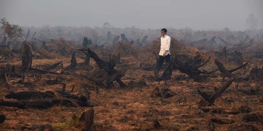 Jungkir balik di 2015, Tahun ini Jokowi tak mau ada kebakaran hutan