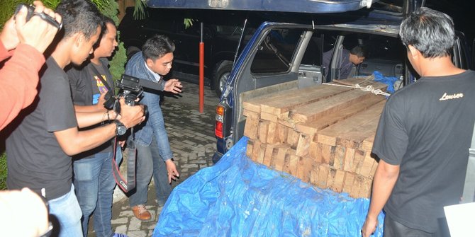 Curi kayu Sonokeling buat bayar utang, 3 orang dibekuk polisi