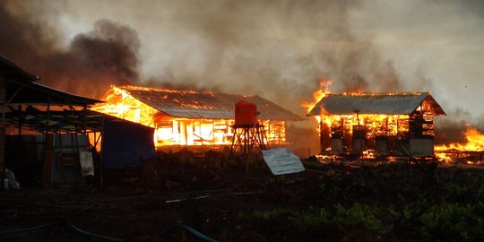 Ini kampung eks Gafatar yang ludes dibakar massa