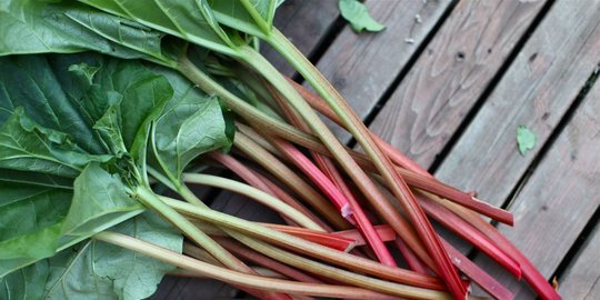 5 makanan ini menghasilkan racun sianida secara alami di dalamnya