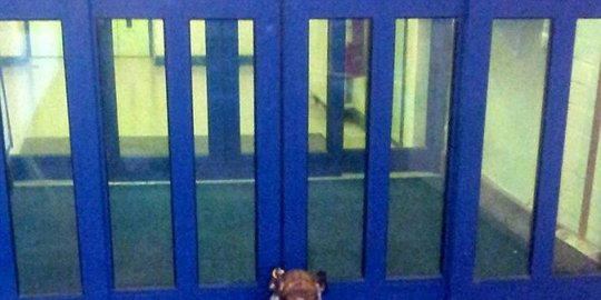 hadiah kepala babi untuk muslim inggris rev2