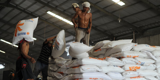 Tahun ini, Bulog target serap beras 30 ribu ton dari Papua