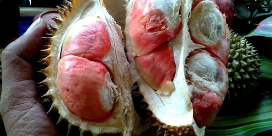 Festival & kontes durian Bogor, ada lomba makan hingga belah durian