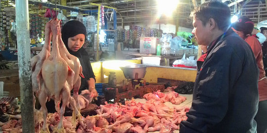 Harga daging ayam meroket dipicu turunnya produksi jagung