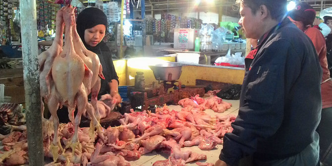 Harga daging ayam naik, pedagang kehilangan omset capai 30 persen