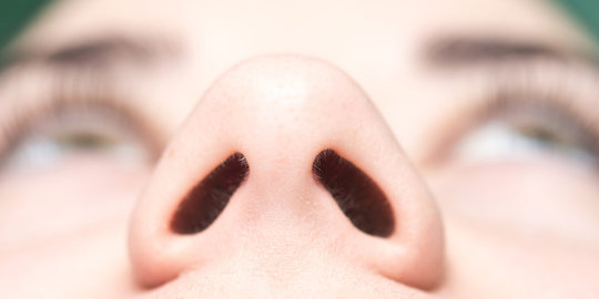 Tak sekedar menghirup udara, ini 5 fakta tentang indra penciuman