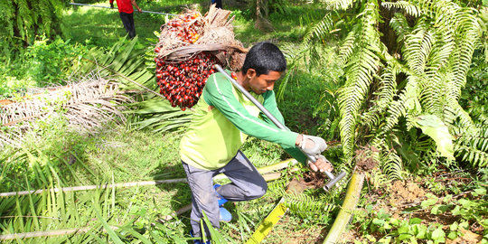 Warisan ekonomi Indonesia buat sulit bersaing di dunia