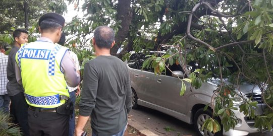 Puting beliung menumbangkan pohon dan merusak gedung TK di Tabanan