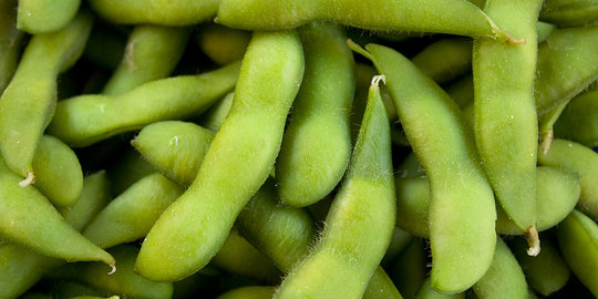 Edamame, kacang gurih asal Jepang super sehat