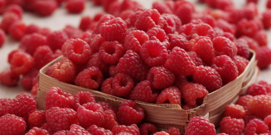 Makan sebuah raspberry, rahasia cantik luar dalam