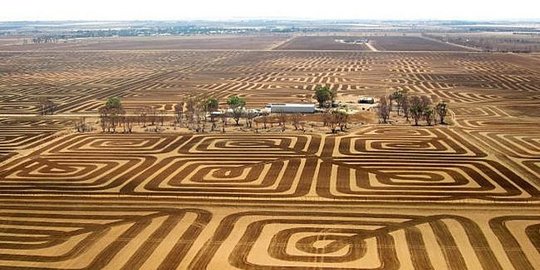 Petani Australia ini melawan erosi tanah dengan seni yang memukau