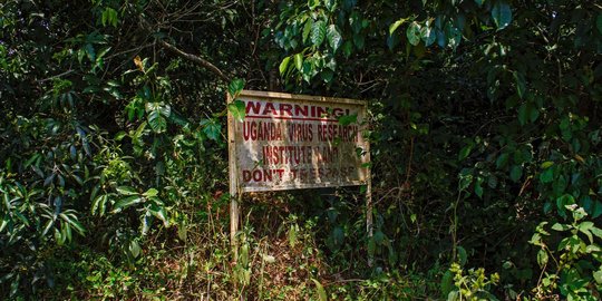 Seperti inilah hutan virus Zika di Uganda