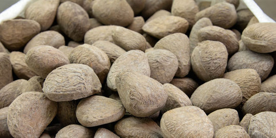 suka kuliner unik? waspada, 5 makanan ini bisa berujung kematian
