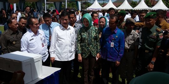 Sertifikasi lahan, Kementerian Agraria gandeng 3 bank pelat merah