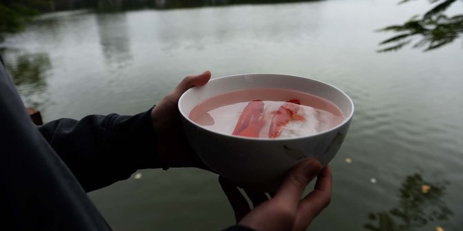 Tradisi unik warga Vietnam lepas 3 ekor ikan mas jelang Imlek
