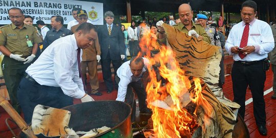 Puluhan kulit satwa langka dimusnahkan di lapangan Mabes Polri