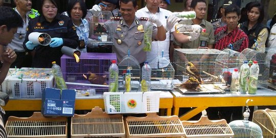 Amerika dukung Indonesia lindungi satwa langka