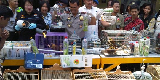 Menteri Siti: Kita dari dulu punya problem penanganan satwa