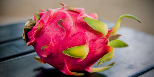 Jelang Imlek, harga buah naga di Solo malah anjlok