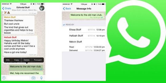 apa pesan sudah dibaca grup atau individu rev1