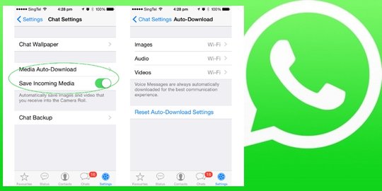 data whatsapp rev1