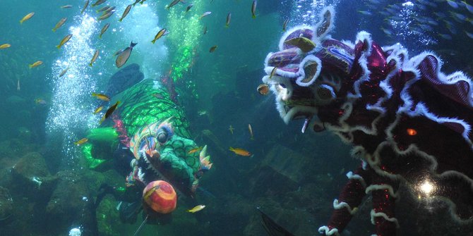 Atraksi barongsai bawah air sambut Tahun Baru Imlek di Ancol