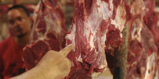 Paket kebijakan jilid IX bukan solusi turunkan harga daging