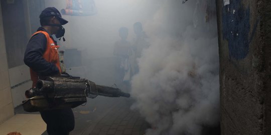 Ahok curiga nyamuk zaman sekarang kebal terhadap fogging
