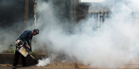 Wabah DBD di Jakarta meningkat 2 kali lipat, Januari ada 611 kasus