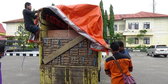 Truk bawa ratusan rak isi telur busuk diamankan Polres Kupang