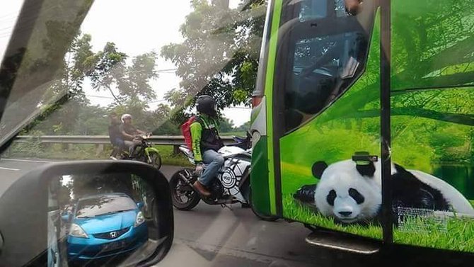 kawasaki ninja hadang bus restu panda